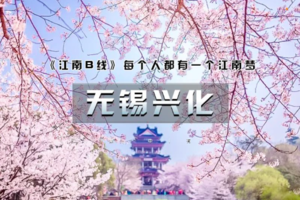 （早鸟+同行优惠）周末2日｜【无锡兴化】春季下江南の兴化油菜花海-李中水上森林-鼋头渚樱花-无锡古运河