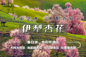 「已成团」清明4.4-4.9日｜火车•【伊犁杏花】绝色新疆6日の吐尔根-那拉提冰百合-大西沟杏花-独山子大峡谷-赛里木湖