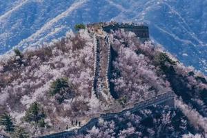 「特价68」清明1日｜【鹞子峪徒步】黄花城-撞道口-鹞子峪古城堡 休闲登山赏桃花