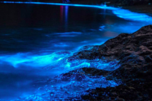 五一5日｜【平潭霞浦】小众线路の福州平潭蓝眼泪-四礵列岛-旗冠顶-北岐滩-杨家溪-霞浦