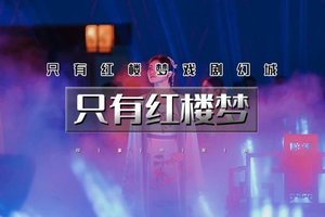 周末1日｜【只有红楼梦】「中午出发特价」梦幻之境-情境空间-美轮美奂-赠送大剧