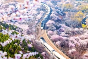 已成团「特价68」清明1日｜【花海列车】｜开往春天的列车の枝花正盛-春光正好-长城内外-分外妖娆-居庸关长城