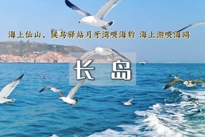 「余位4」「特价798」清明3日｜大巴•【蓬莱长岛】寻找黄.渤海交汇处万鸟岛海鸥/大黑山岛-品尝海鲜盛宴-体验岛民生活-