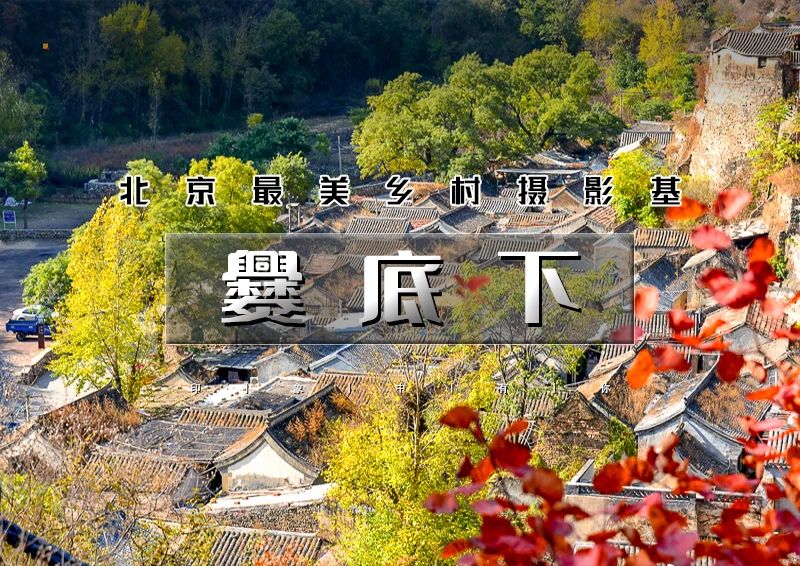 ▌▌印象头图.jpg