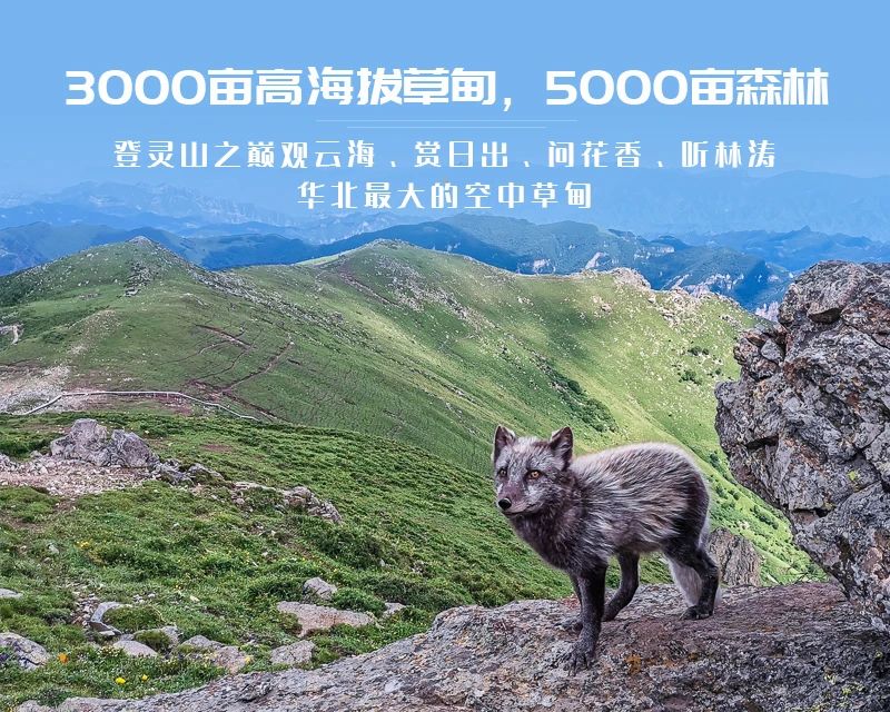 ★印象细图2.jpg