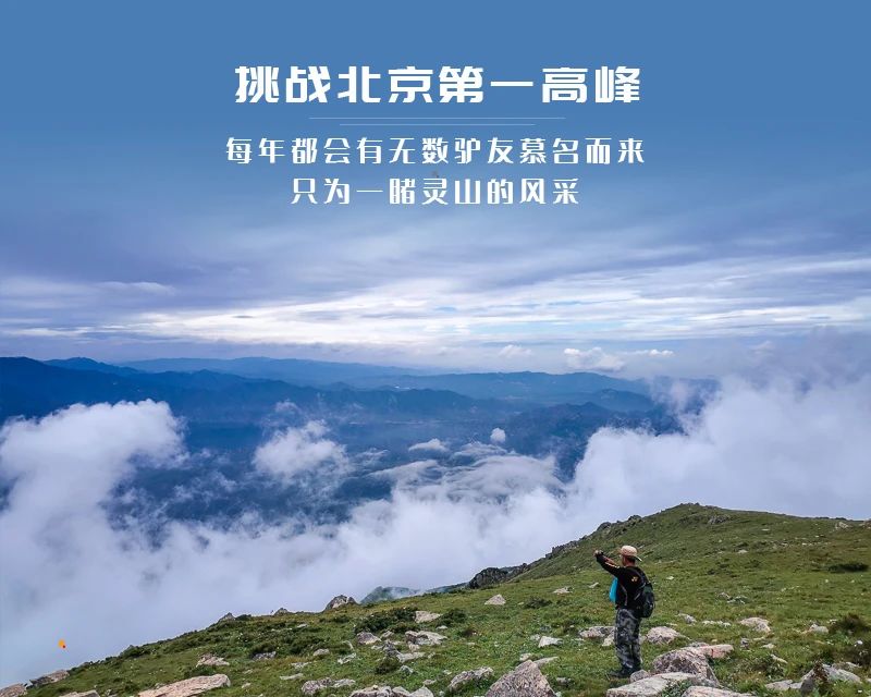 ★印象细图A.jpg