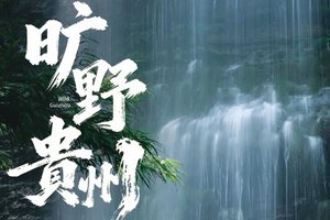 2026旷野贵州 | 荔波茂兰漏斗森林+四洞天穿越+猴子沟+螺丝壳徒步5日