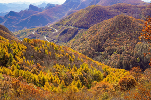 青青徒步｜10.24 秋林铺 徒步12km赏秋 闯入房山深处体验秋色秘境-共赴秋林铺童话之约（初级）