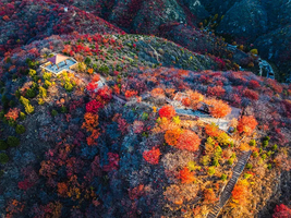 青青徒步｜10.24/10.25 舞彩浅山 北京著名赏秋打卡圣地-休闲穿越-别致山景-小众原生态-打卡地道战