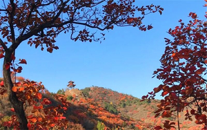 青青徒步｜10.24 十三陵环湖，看“北京小洱海” 汉包山十三陵步道赏秋-七孔桥花海-打卡辛庄生活市集