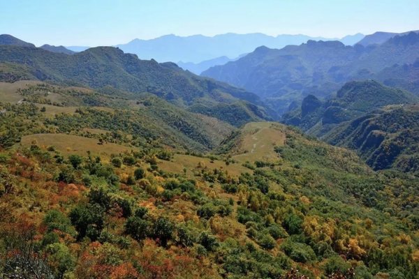 青青徒步 | 6.10【初级+】 北灵山-黄草梁-柏峪18km穿越