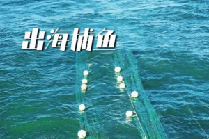 出海捕鱼 | 9.12 做一日渔夫，享受肥美海鲜大餐，海洋冒险小队开始集合啦！
