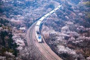 青青休闲 | 3.28 /3.29 开往春天的列车——居庸关花海