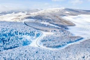 青青徒步丨12.13【休闲级】踏雪寻林，桦皮岭8Km林海雪原，走进童话世界（赠急救毯，早鸟优惠）