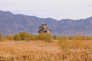 特惠88 | 12.13 野鸭湖-观鸟天堂+永宁古城+柳沟豆腐宴  蒹霞苍苍 白露为霜（秋冬景报名入口）