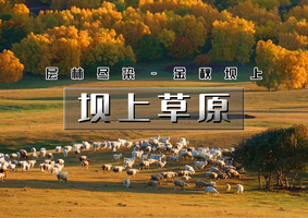 周末/中秋/国庆2天｜逍遥游•坝上草原｜坝上正确打开方式の摄影-骑马-篝火-烤全羊-卡拉OK……