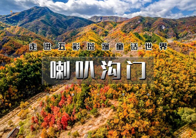 1日｜逍遥游•喇叭沟门｜穿越原始森林の走进五彩斑斓童话世界-探寻北京最美秋色