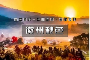 周末2日｜徽州秋色｜皖秋の呈坎秋韵-塔川晒秋-画里宏村-屯溪老街｜秋摄醉美徽州古韵