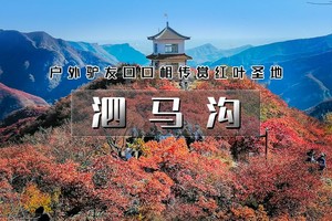 周末1日｜逍遥游•泗马沟｜户外驴友口口相传药王谷红叶の2026醉美赏红叶线路-6公里环线赏奇景胜境