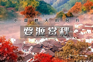 周末2日｜逍遥游•婺源赏秋｜休闲行の打卡婺女洲-篁岭晒秋-石城晨雾-菊径村-虹关村-察关村&景德镇陶溪川