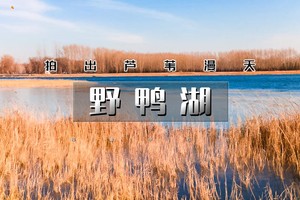1日｜逍遥游•野鸭湖｜【上午/中午出发】延庆奇观云瀑沟冰瀑-芦苇漫天野鸭湖-柳沟传统火盆锅