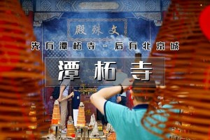 1日｜逍遥游•潭柘寺｜先有潭柘寺后有北京城の千年古刹-皇家寺院-戒台寺登山步道｜休闲1日