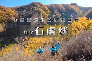 1日｜徒个•石虎线｜去密云看北京的秋の一路小惊喜-9公里穿越<初级>