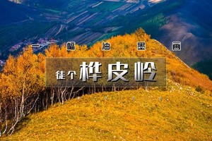 1日｜徒个•桦皮岭｜一幅油墨画の草原天路桦皮岭9公里徒步<初级强度>