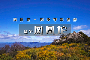 周末1日｜徒个•凤凰坨｜高山草甸花花世界の凤凰坨-四季花海13公里徒步<初级>