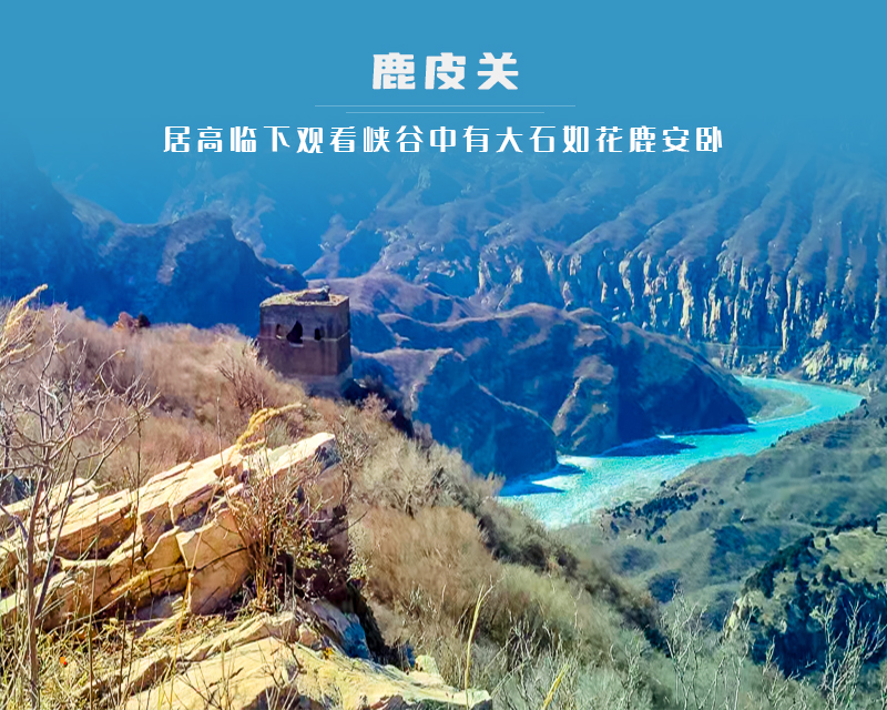 ★印象细图A1.jpg