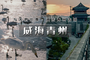 元旦3天｜逍遥游•威海青州｜网红威海の一半浪漫一半山海-与天鹅共舞-漫步青州古城
