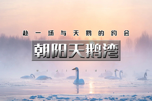 元旦2日｜逍遥游•朝阳天鹅湾｜行摄朝阳天鹅雪舞飞扬の天鹅湖的夕阳和日出-畅游锦州奉国寺-辽西九华山
