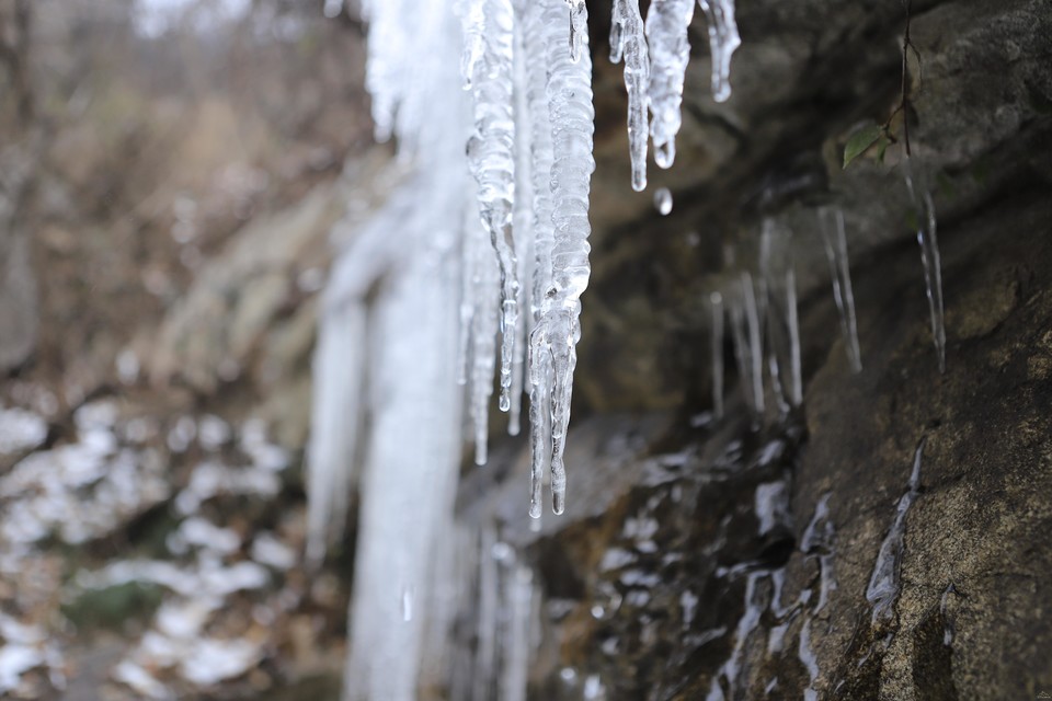 微信图片_20181211112810