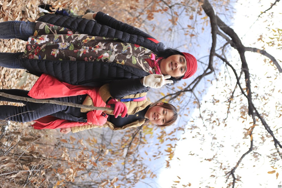 微信图片_20181213092604