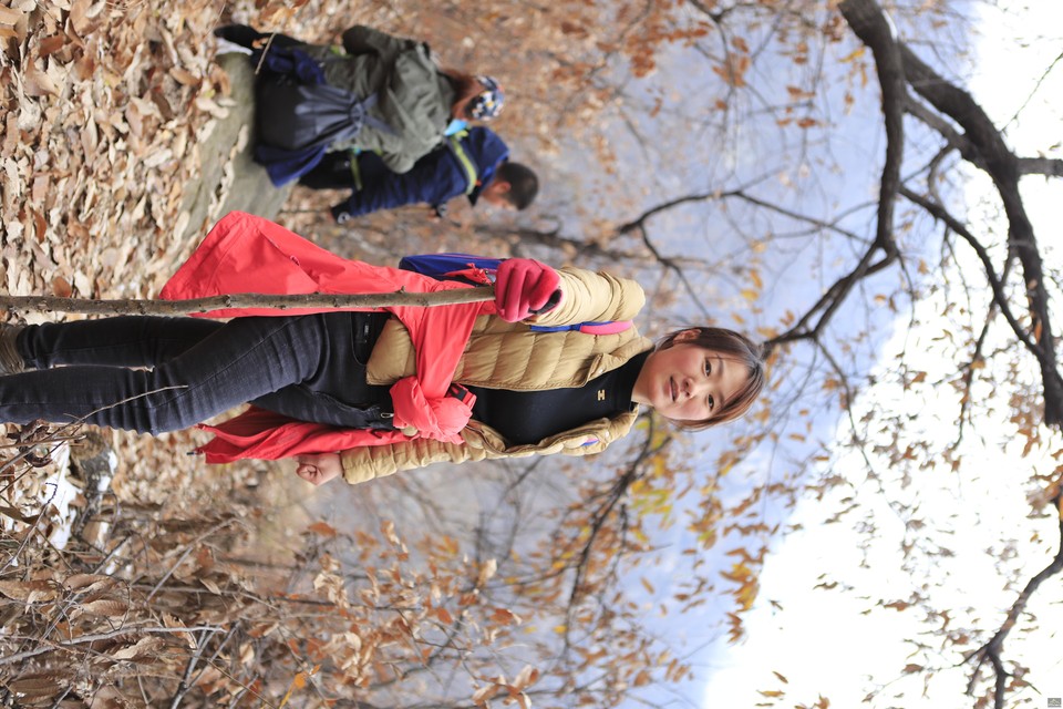 微信图片_20181213092557