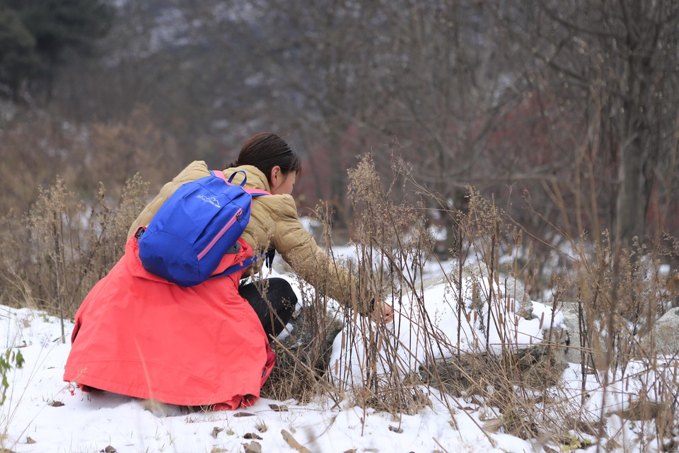 微信图片_20181213092521