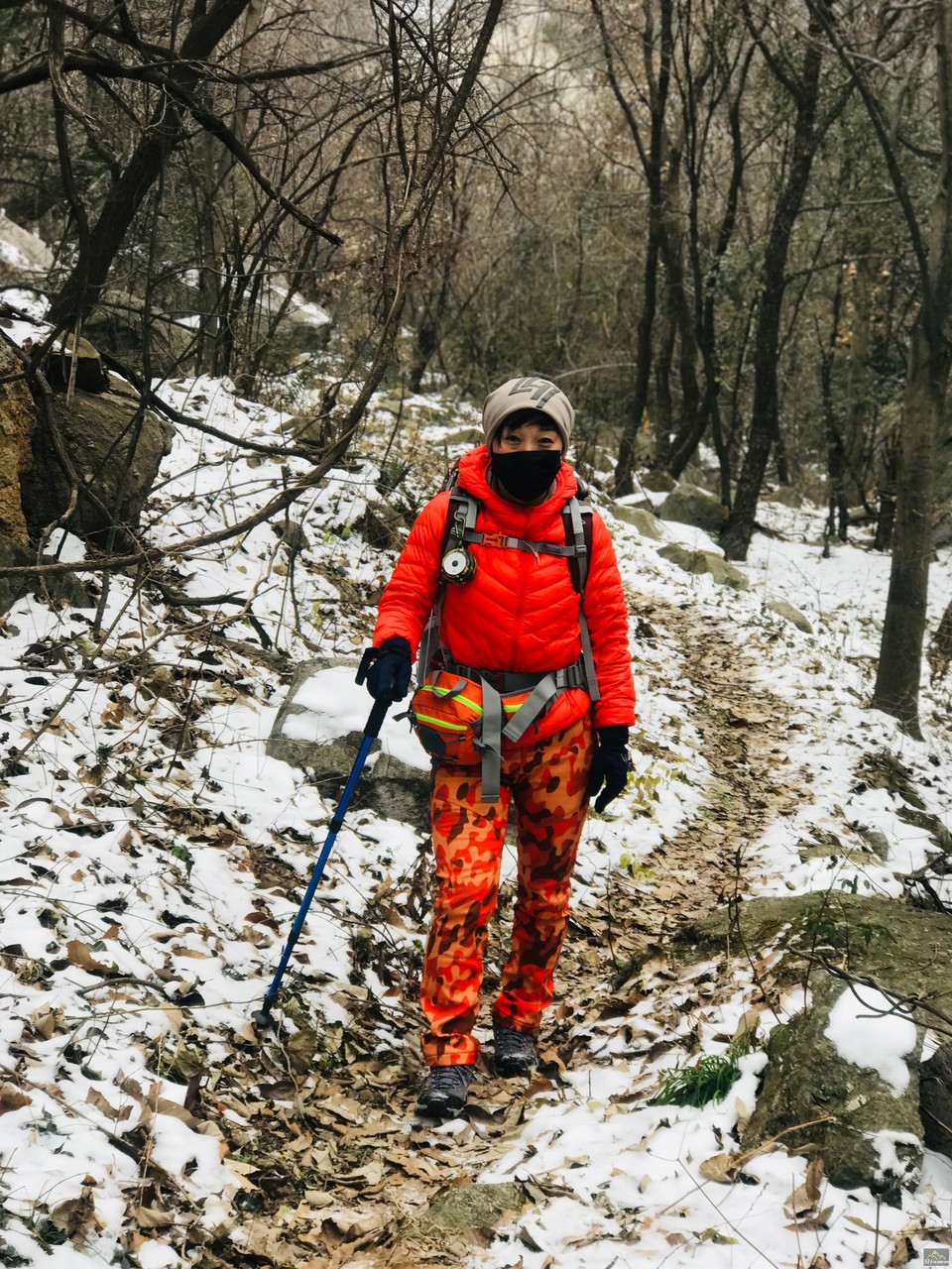 微信图片_20181213092805