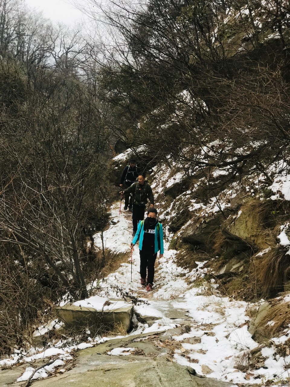 微信图片_20181213092811