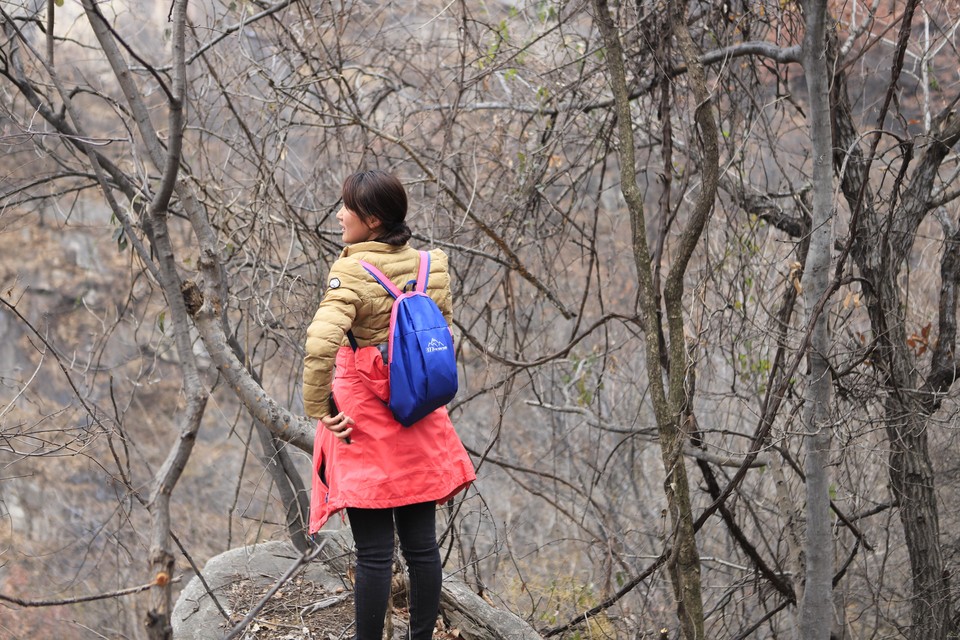 微信图片_20181213092722