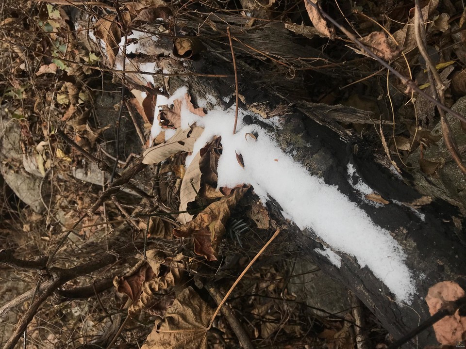 微信图片_20181213092858