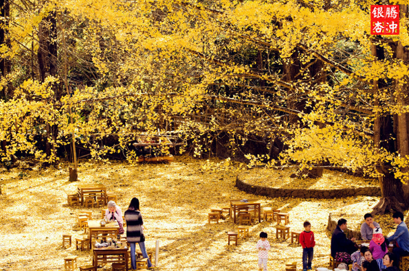 1539411209(1).png