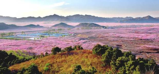 地址:北京市房山区 自驾:导航搜索房山六石路 2017平谷桃花节开幕,22