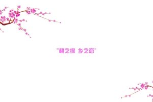2016“建行杯”中国·奉化海峡两岸桃花马拉松(宣传片)