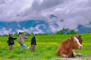 九鼎山花海-百龙池