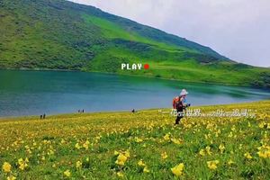 九鼎山花海-黑龙池