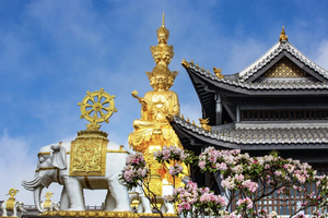 【大美四川-网红成都5日】 2-8人VIP自由行 · 峨眉山+乐山大佛+三星堆+都江堰+熊猫基地+武侯祠。