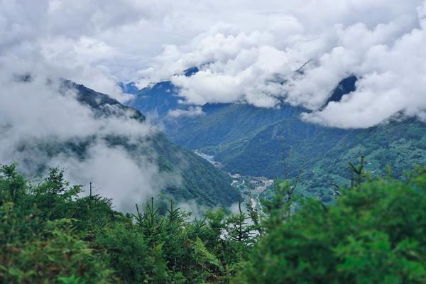 【确定出行|云中牧场-1天】5月4日，远离喧嚣、避世山林，走进卧龙云中牧场！