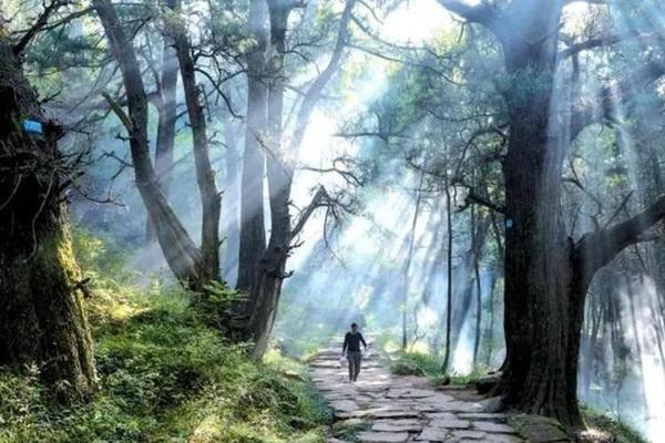 【确定出行|剑阁拦马墙·1天】5.10周六，苍松翠柏间，走进千年金牛古道、徒步穿越拦马墙。