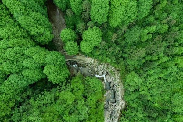 【白石河谷-1天】 6月2号，悦耳的蝉鸣，夏日的清凉--轻徒大邑白石河谷森林浴场！