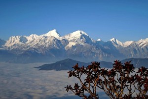 【日出云海|娘娘山-2天】与牛背山相邻的无门票小众徒步胜地，直面雪山群，赏云海日出星空。